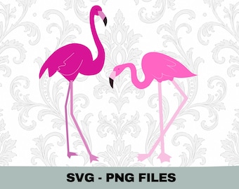 Pink Flamingo SVG PNG, Flamingo Shirt Design, Flamingo Clipart, Flamingo Lovers Tee, Beach Summer Cricut Cut File, Sublimation PNG File