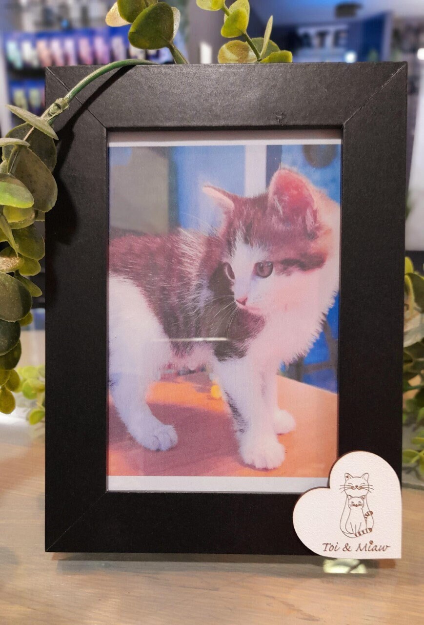 Cadre Photo Toi & Miaw