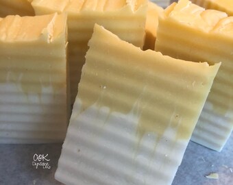 Vivid Vegan Soaps