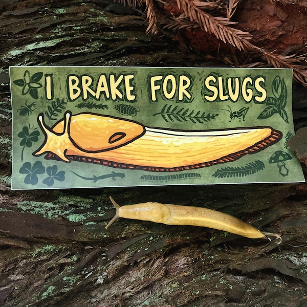 I Brake For Slugs Bumper Sticker | 7.5″ × 3.14″ | Banana Slug