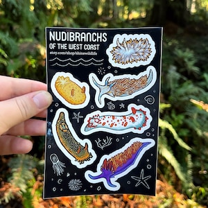 Nudibranch Sticker Sheet - 6&quot; x 4&quot;