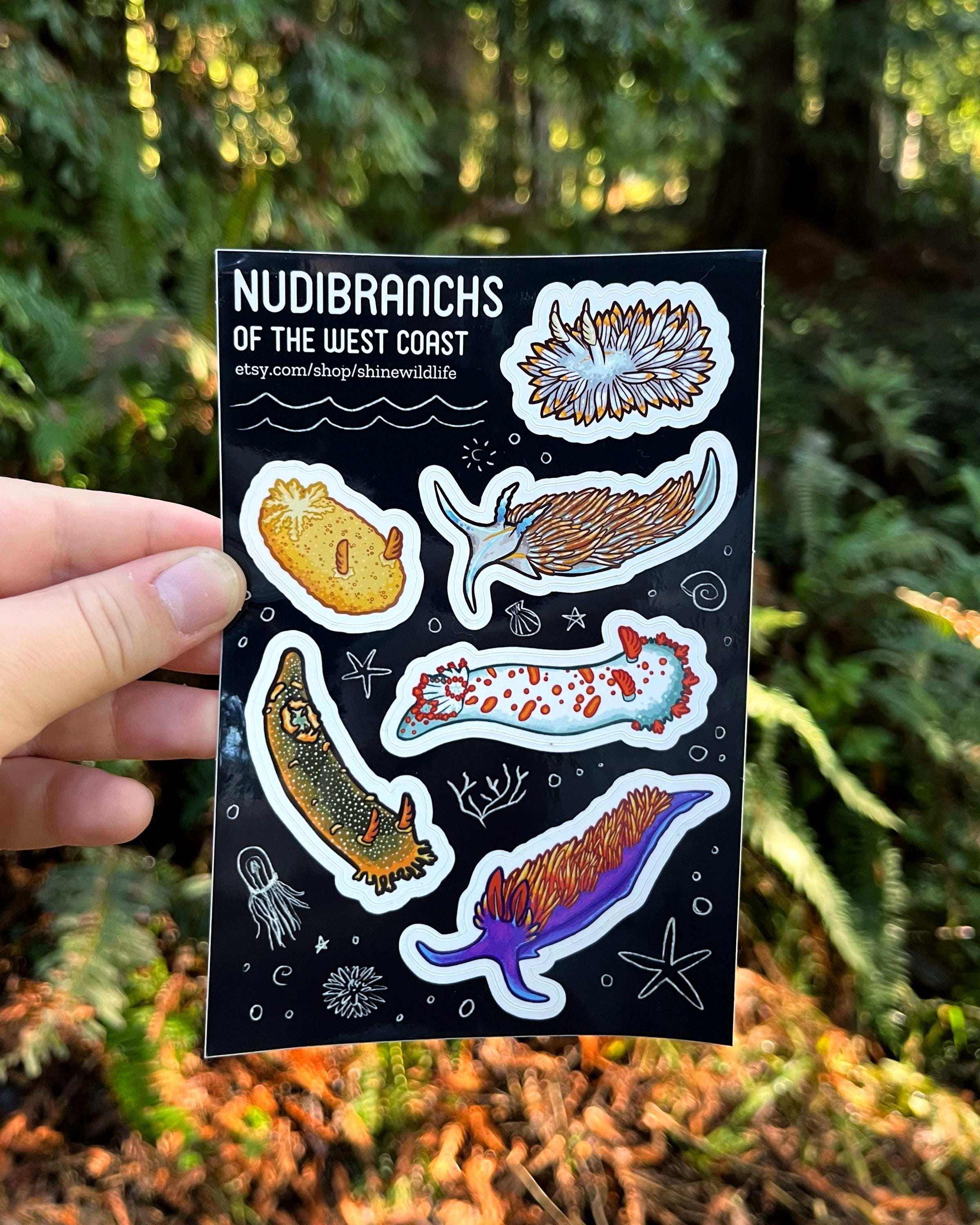 Nudibranch Sticker Sheet - 6" x 4"