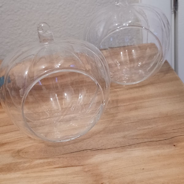 2 glass pumpkin hanging pots succulent air plants container