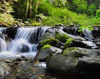 Serene Waterfall - Photography Print