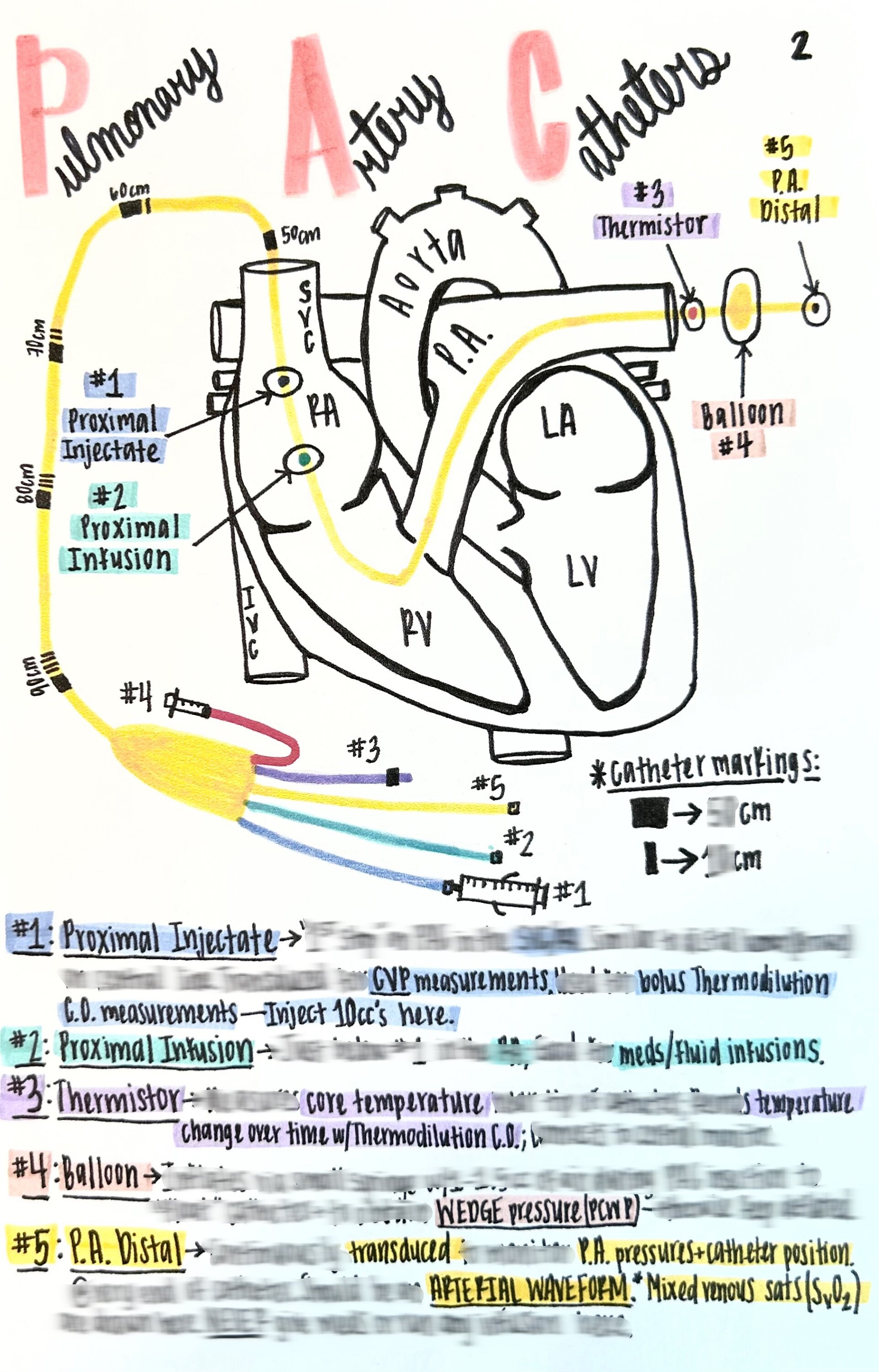 pa-catheter-digital-download-etsy