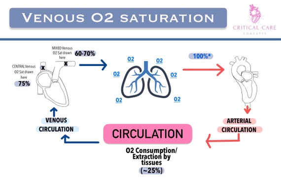 Mixed/central Venous O2 Saturation svo2/scvo2 Concept Map - Etsy