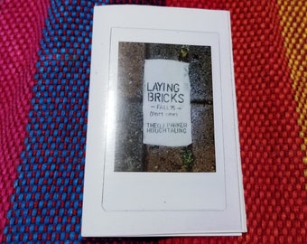 Laying Bricks - Intervention Art Documentation