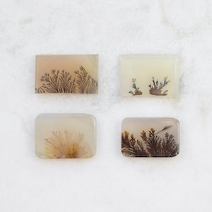 May include: Four rectangular agate cabochons with dendritic inclusions. The cabochons are translucent and have a white, grey, and brown colour. The dendritic inclusions are black and brown and resemble tree branches.