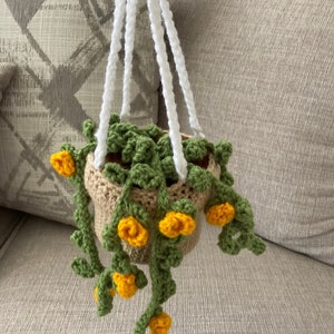 Crochet hanging plant with flowers PDF Pattern