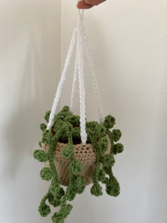 Crochet Hanging Vines with Flowers  Crochet Hanging Plant Tutorial 