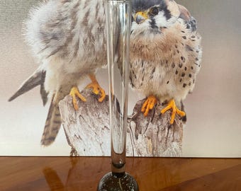 May include: A clear glass bud vase with a round, bubble-filled base and a long, slender neck. The vase is displayed in front of a backdrop featuring two birds perched on a tree stump. The vase is approximately 8 inches tall.