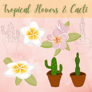 Tropische bloemen & cactussen clipart bundel, aquarel, lijntekeningen en effen kleuren, JPG, PNG, persoonlijk/commercieel gebruik