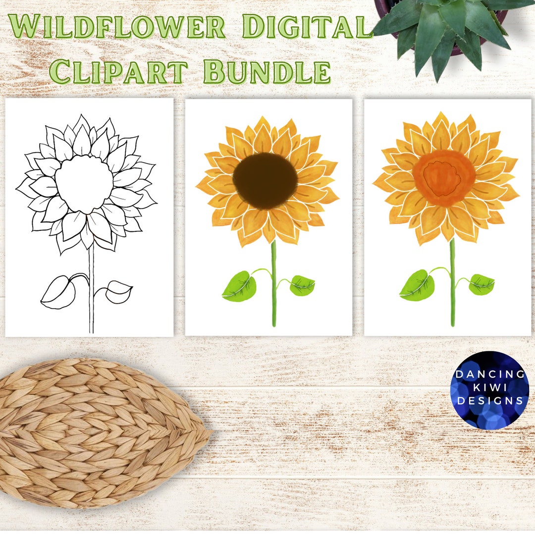 Watercolor Sunflower Clipart PNG, Floral Digital Graphics Bundle ...