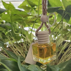 Puede incluir: Una pequeña botella cuadrada de vidrio llena de un líquido dorado, suspendida por una cuerda trenzada. La botella tiene una tapa de madera y una pequeña etiqueta blanca. El fondo está lleno de hojas verdes.