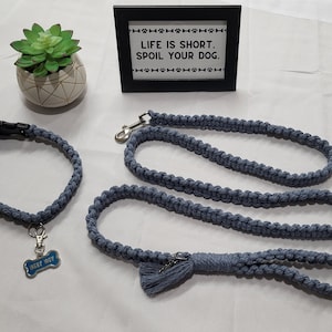 Puede incluir: Un juego de collar y correa para perro trenzados azules con una placa de perro plateada que dice "Best Boy". La correa tiene un borla azul. Un cartel enmarcado dice "La vida es corta. Mima a tu perro."
