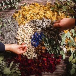 Op de afbeelding: Een cirkelvormige opstelling van natuurlijke elementen op een houten oppervlak. De compositie omvat gedroogde bloemen, stenen en kruiden in verschillende kleuren, waaronder geel, blauw, rood en groen. Twee handen zijn zichtbaar, die interageren met de opstelling.