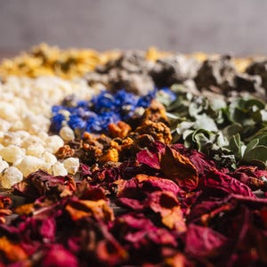 Op de afbeelding: Een close-up van diverse gedroogde kruiden en botanische producten. De afbeelding toont een verscheidenheid aan kleuren, waaronder rood, wit, blauw, geel en groen. De opstelling suggereert een verzameling ingredi&euml;nten voor aromatherapie of kruidenremedies.