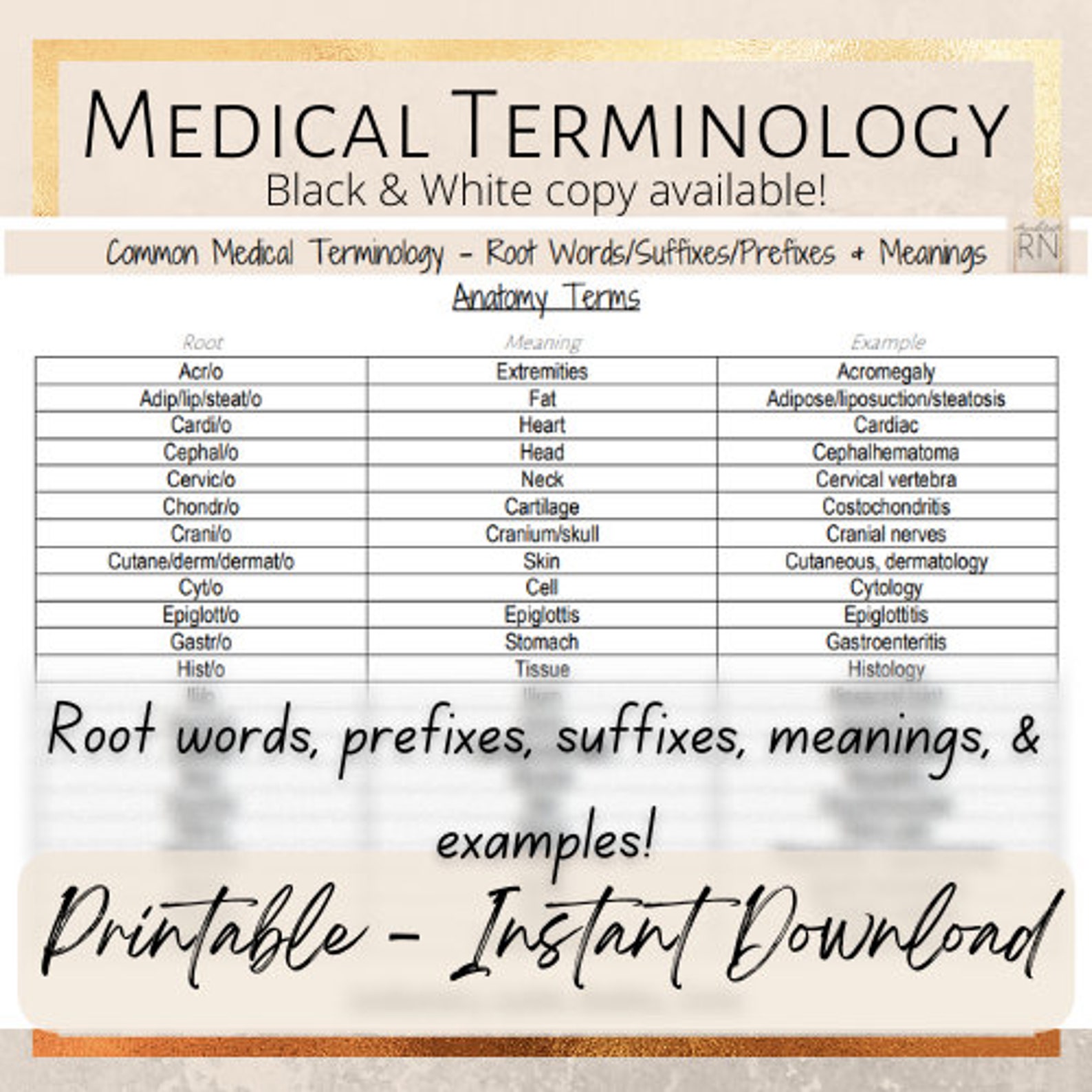 thesis suffix medical term