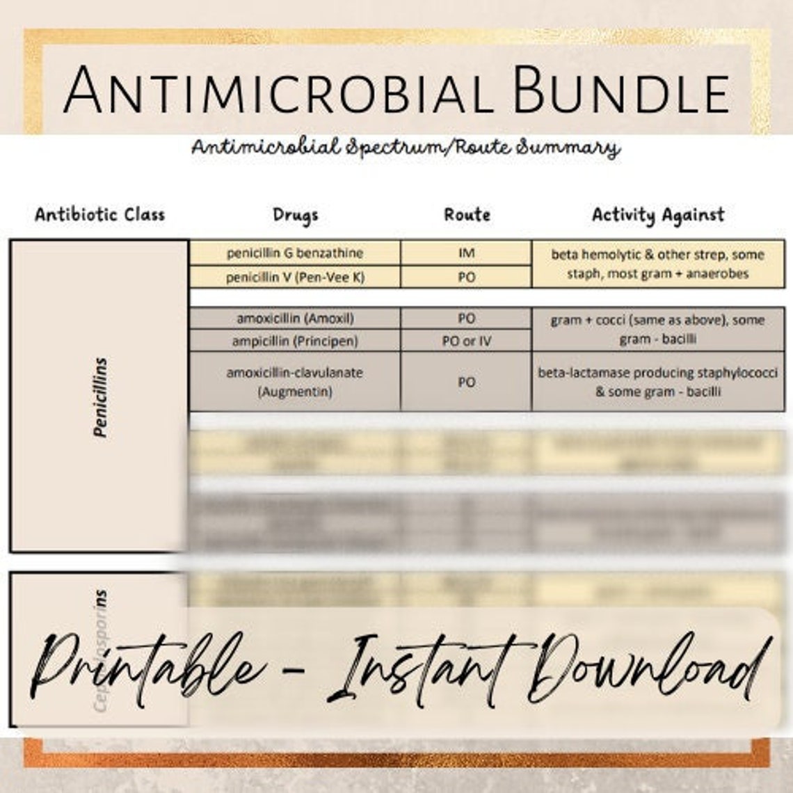 Antibiotic Drugs Bundle | Etsy