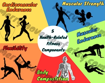 Health-related and Skill-related Fitness Components Poster| Gym