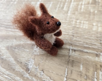Kleines  Eichhörnchen