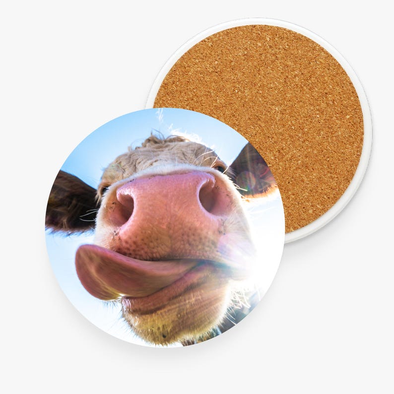 A close-up of a cow's face with its tongue sticking out. The cow's nose is pink and its eyes are closed. The background is a bright blue sky.