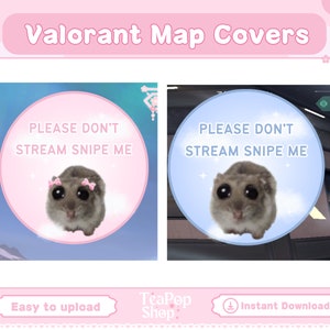 Portada de mapa para Valorant Sad Hamster Meme / Superposición de Valorant / HUD personalizable / Mapa de Valorant / Superposición de transmisión de Jett Twitch / Emotes de Valorant