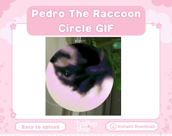 Raccoon dancing to Pedro Gif | Valorant Map Cover | Meme GIF | Raccoon Meme | Funny Meme PFP Profile Picture | GIFs Server Stream Assets