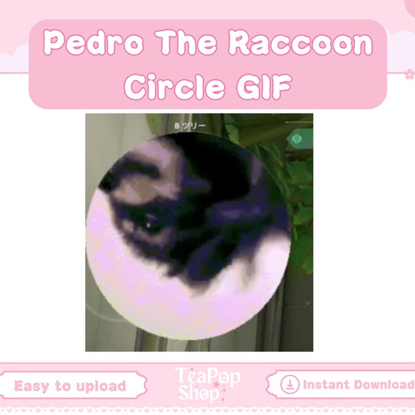 Raccoon dancing to Pedro Gif | Valorant Map Cover | Meme GIF | Raccoon Meme | Funny Meme PFP Profile Picture | GIFs Server Stream Assets