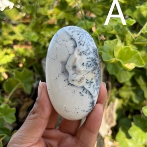 Dendritic Opal Palm Stone