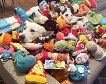4 Pack of Dog Toys