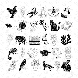 May include: Black and white illustrations of various mystical and natural elements. Includes a bird, flowers, a scorpion, a candle, a bee, a mushroom, a mouse, a crystal ball, a hand holding a crescent moon, a key, a cat, a book, an elephant, cacti, a snake, a plant, coral, a chameleon, a leaf, a raccoon, a cat, a plant, a crystal, a bird, flowers, a wolf, and a squirrel.