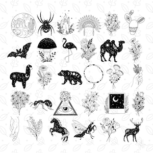 May include: A collection of black and white illustrations featuring various nature and celestial elements. Includes a desert landscape, spider, candle, headdress, flowers, cactus, bat, mushroom, flamingo, camel, llama, bear, necklace, ant, eye symbol, horse, mantis, deer, and more.
