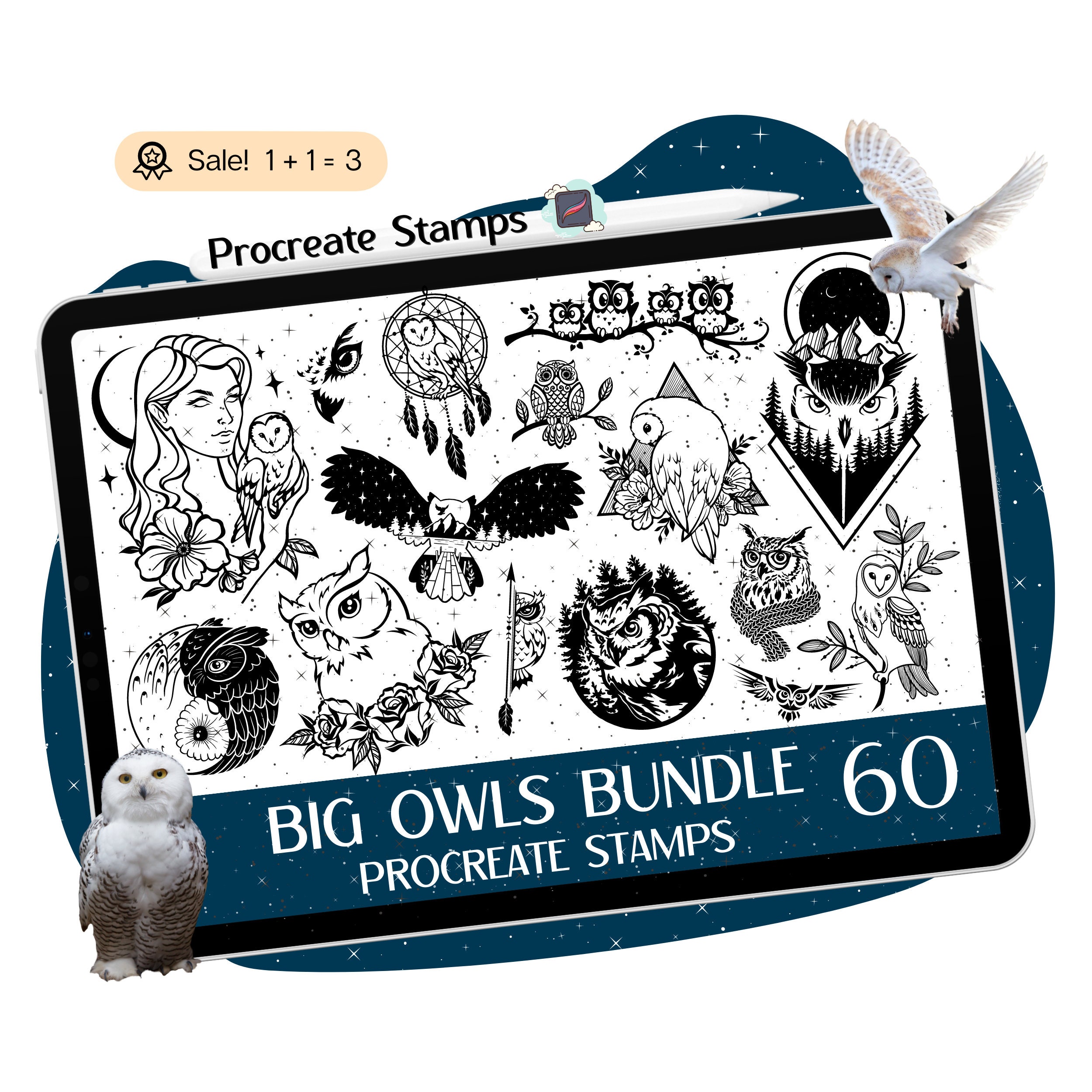 60 Owl Procreate STAMPS, Owl Procreate BRUSHES, Bird Procreate Stamps, Owl Tattoo, Owl Clipart, Proc