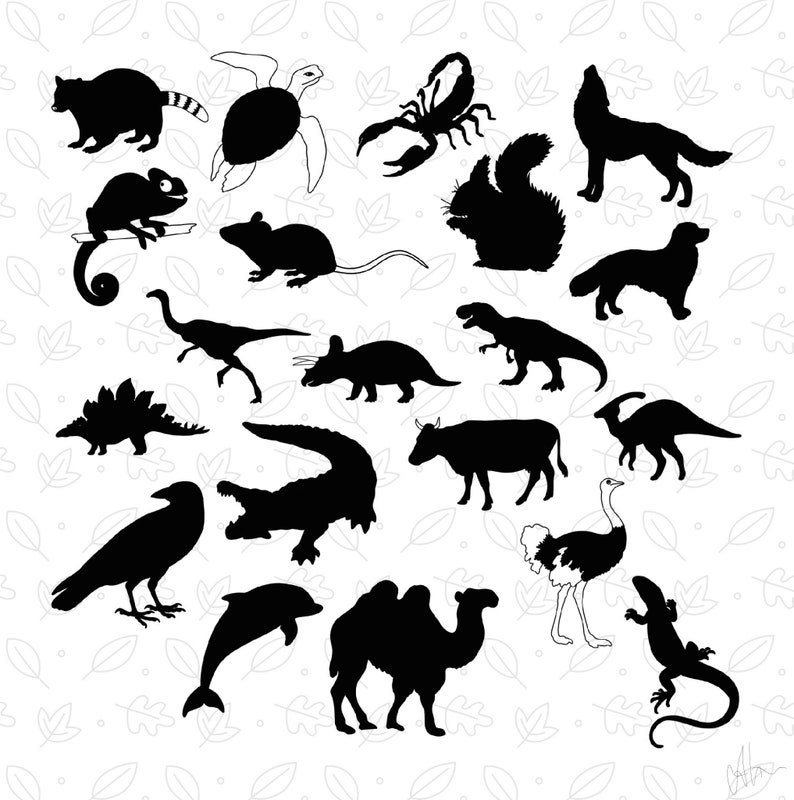 100 Animals Procreate STAMPS Procreate Animals Silhouette Etsy