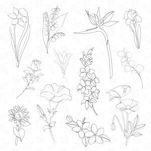 May include: A black and white line drawing of various flowers, including a sunflower, a rose, a lily, a poppy, and a bird of paradise.