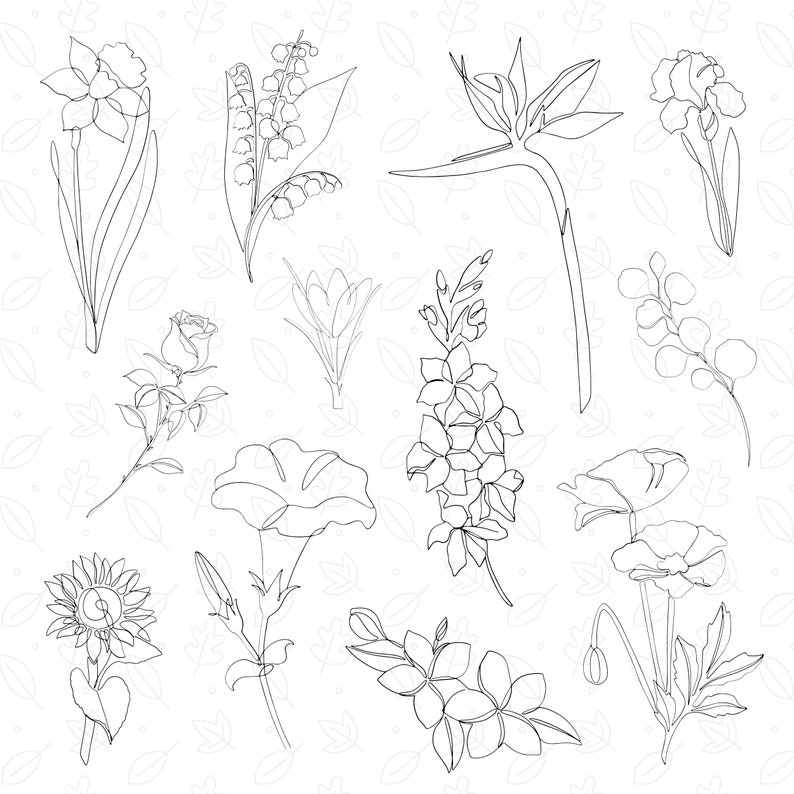 May include: A black and white line drawing of various flowers, including a sunflower, a rose, a lily, a poppy, and a bird of paradise.
