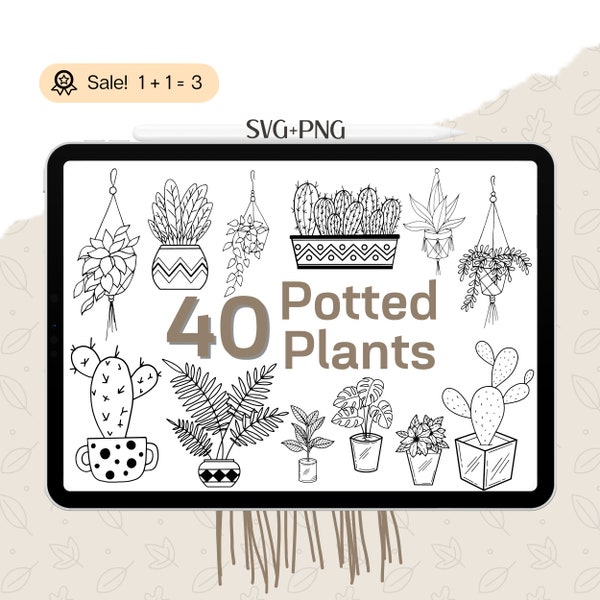 40 House Plant SVG Bundle, Hanging plants SVG, Potted Plants SVG file for Cricut, Flower, Floral, Plants in pots, Clipart, Commercial use