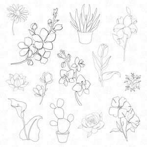 May include: A black and white line drawing illustration of various flowers and plants, including a cactus, a rose, a lily, a daisy, an orchid, a tulip, and a magnolia.