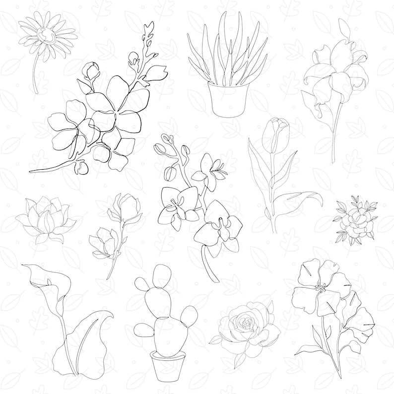 May include: A black and white line drawing illustration of various flowers and plants, including a cactus, a rose, a lily, a daisy, an orchid, a tulip, and a magnolia.