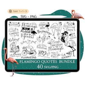 40 Flamingo Quotes SVG Bundle, Flamingo SVG, Flamingo Signs, Flamingo Sayings, Funny Quotes Svg, PNG Shirt Cricut Clipart Commercial use