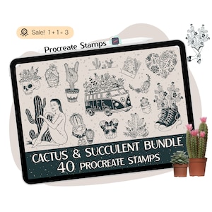 40 Kaktus Procreate STEMPEL, Sukkulenten Procreate Pinsel, Wüstenszene Kaktus, Wüstenlandschaft, westliche Briefmarken, Kaktus Clipart Doodle Tattoo