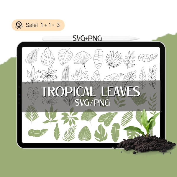 40 Tropical Leaves SVG Bundle, Tropical Leaves cut file for Cricut, Tropical SVG, Monstera SVG, Palm Branch, Clipart, Png, Commercial Use