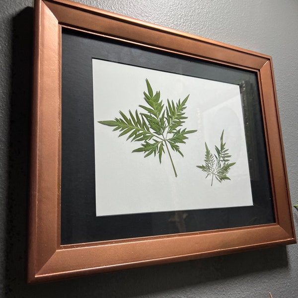 Handmade dried cannabis leaf framed Real Pressed Leaf Falling Picture Wall Art Botanical Cannabis Pressed Marijuana Pot Leaf Home