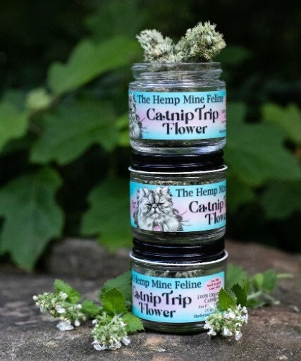 Catnip Trip- Full Flower for Cats