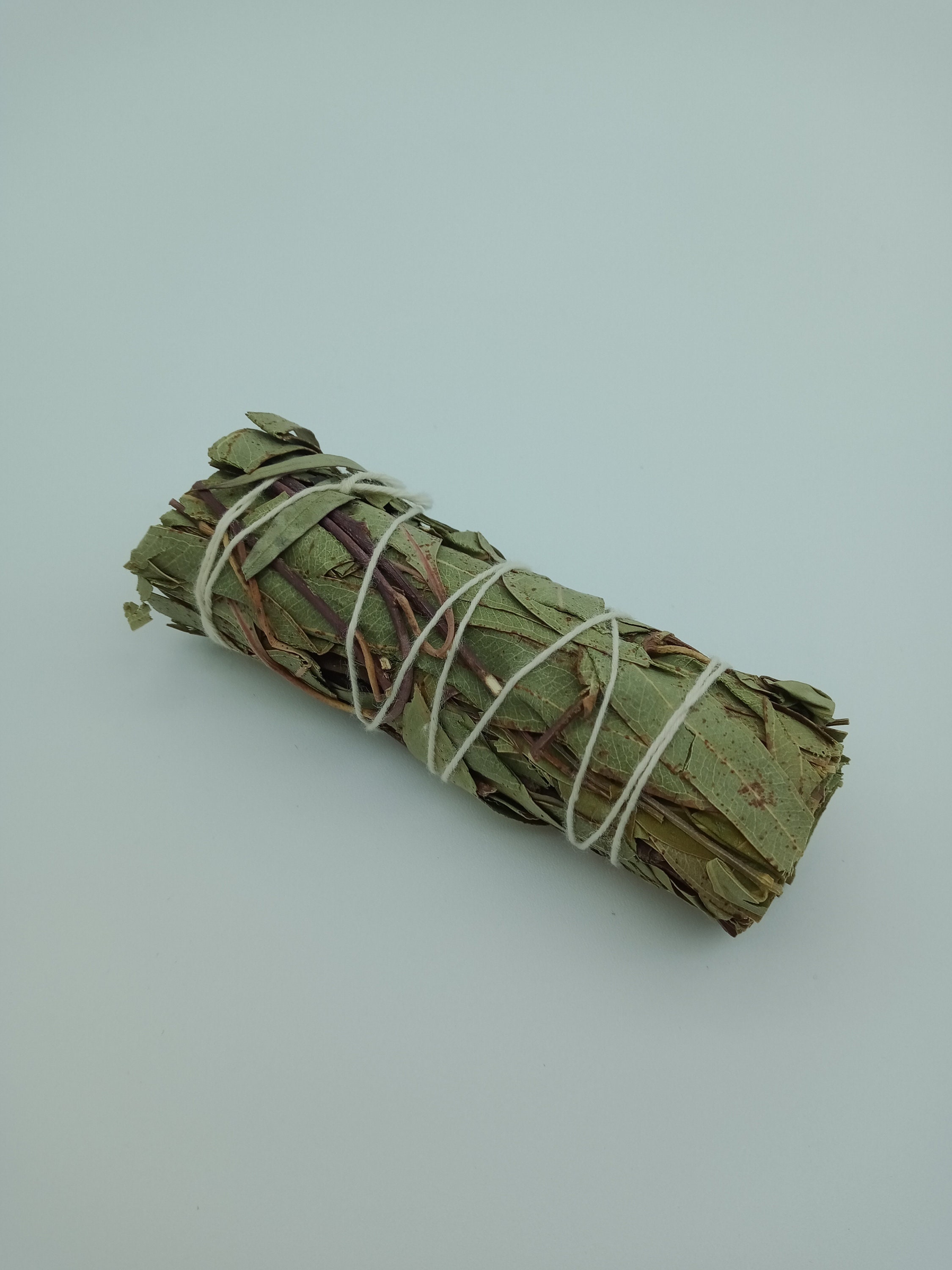 Fagot Eucalyptus 30G 10 cm