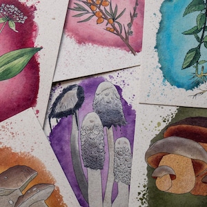 SCHEDE BOTANICHE ACQUERELLO su carta erba con piante e funghi, disegnate a mano, biglietti d'auguri, cartoline, regalo per amanti della natura