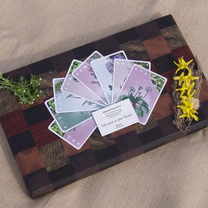 Self Sufficient Wild HERBS CARD SET For Beginners Medicinal Plants Learning Cards Bild 4