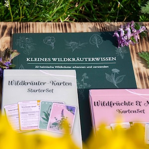 WILDKRAUTWELT Paquete completo para principiantes: juego de cartas de aprendizaje sobre hierbas silvestres, árboles y frutas silvestres para amantes de las plantas, brujas de las hierbas y jardineros