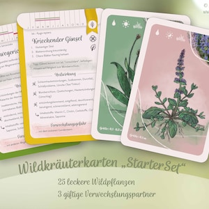 Self Sufficient Wild HERBS CARD SET For Beginners Medicinal Plants Learning Cards Bild 3